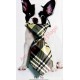 Cravate pour chien beige.