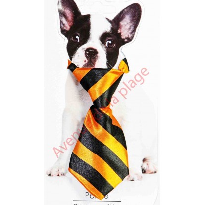 Cravate pour chien rayée orange et noire.