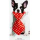 Cravate pour chien rayée rouge et pois blancs.