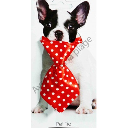 Cravate pour chien rayée rouge et pois blancs.