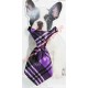 Cravate pour chien violette.