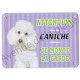 Pancarte métal Attention au chien - Caniche blanc