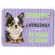 Pancarte métal Attention au chien - Chihuahua à poil long