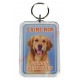 Porte clé J'aime mon chien - Golden Retriever