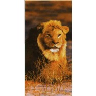 Serviette de plage "Lion"