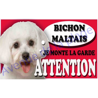 Plaque Attention Je monte la garde - Bichon Maltais