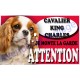 Plaque Attention Je monte la garde - Cavalier King Charles