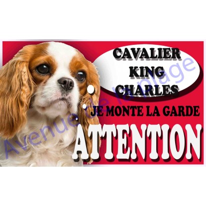 Plaque Attention Je monte la garde - Cavalier King Charles