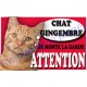 Plaque Attention Je monte la garde - Chat Gingembre