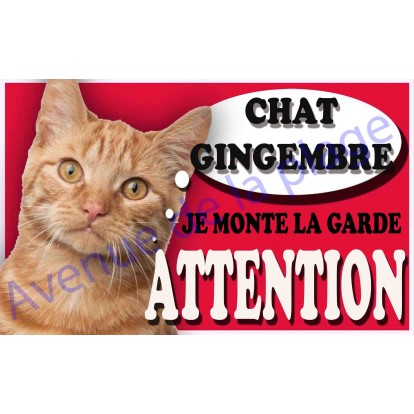 Plaque Attention Je monte la garde - Chat Gingembre