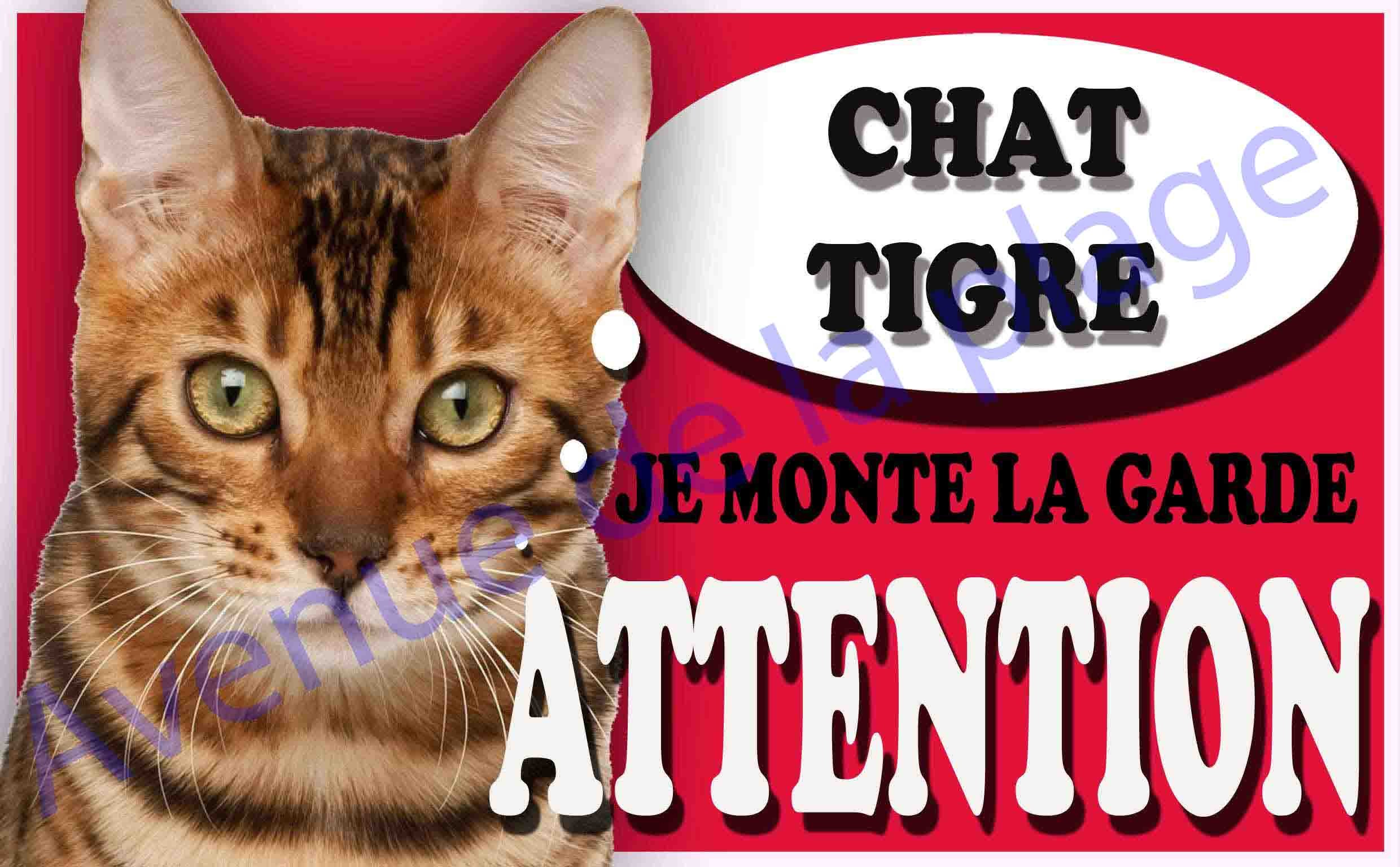 Plaque Attention Je Monte La Garde Chat Tigre Plaque Attention Je Monte La Garde Chat Tigre