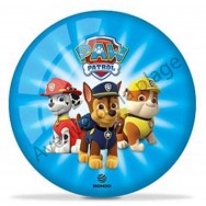 Mini ballon de football Pat Patrouille