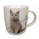 Mug chat British Shorthair