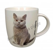 Mug chat British Shorthair