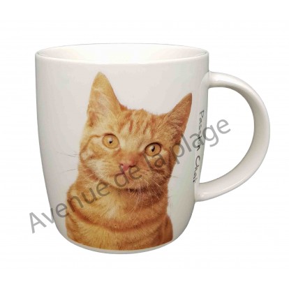 Mug chat Gingembre