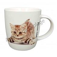 Mug chaton joueur