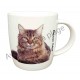 Mug chat Maine Coon couché