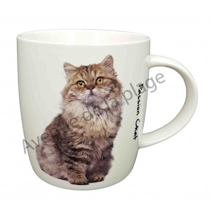 Mug chat Maine Coon assis