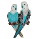 Couple de perruches turquoises à accrocher 19 cm