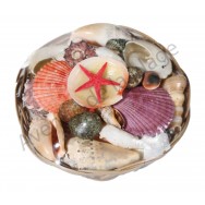 Panier de coquillages 15 cm