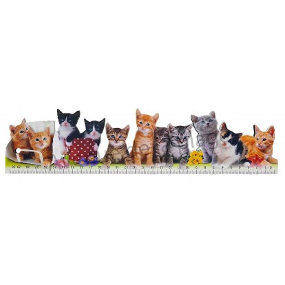 Règle d'école chats modèle A