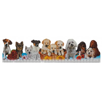 Règle d'école chiens