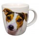 Mug chien Jack Russel