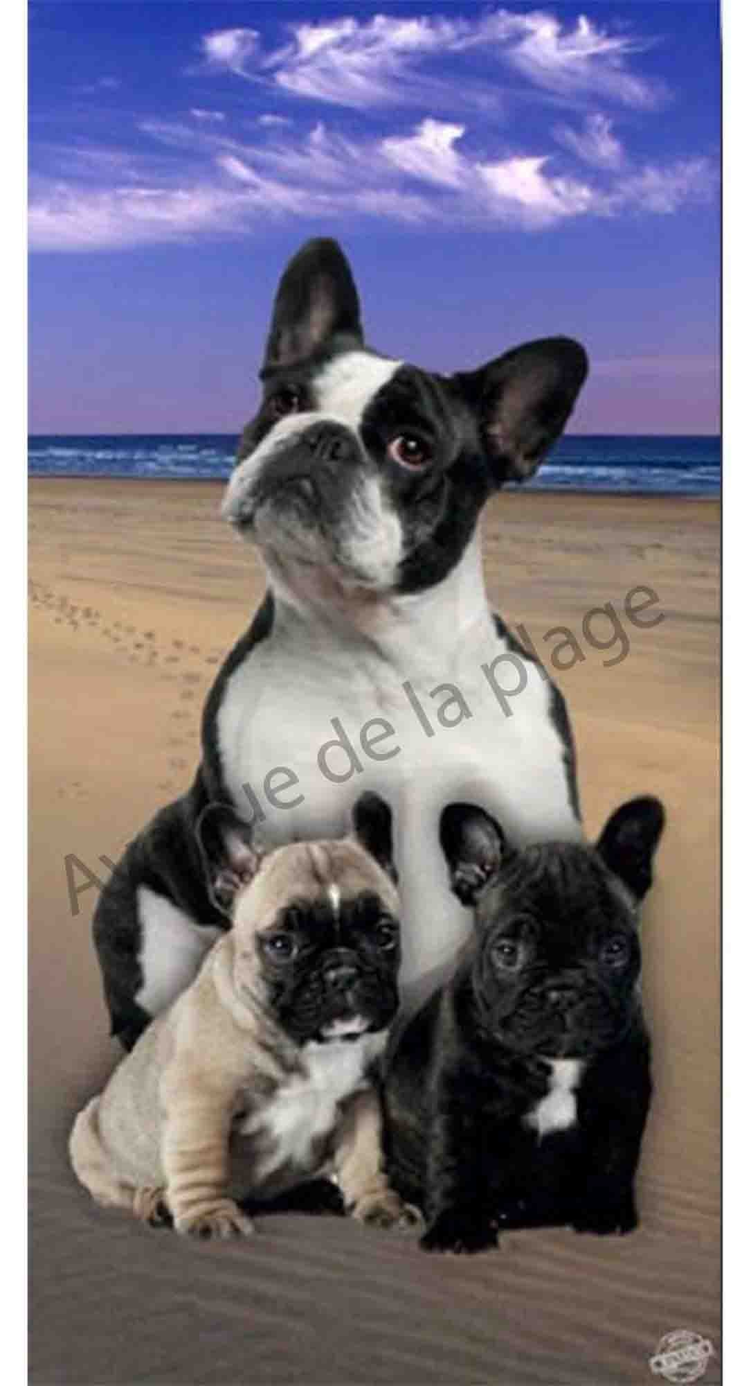 Bouledogues De Serviette De Bouledogues Serviette Français Plage Plage Serviette De Bouledogues Plage Français j5LqARSc34