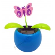 Plante solaire avec papillon qui se balance A