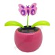 Plante solaire avec papillon qui se balance B