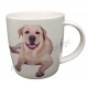 Mug chien Labrador sable couché