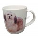 Mug chien Shih Tzu