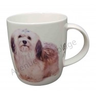 Mug chien Shih Tzu