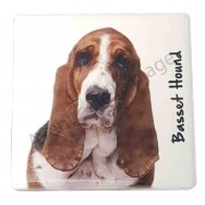 Magnet Basset Hound