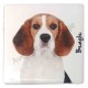 Magnet Beagle