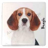 Magnet Beagle