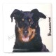 Magnet Beauceron