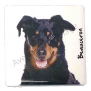 Magnet Beauceron