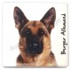 Magnet Berger Allemand A