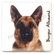 Magnet Berger Allemand