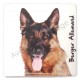 Magnet Berger Allemand B