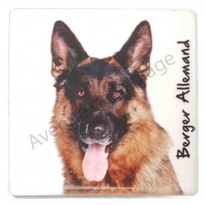 Magnet Berger Allemand B