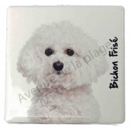 Magnet Bichon Frisé