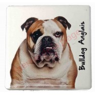 Magnet Bulldog anglais