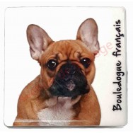 Magnet Bouledogue français marron