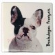 Magnet Bouledogue français blanc et noir