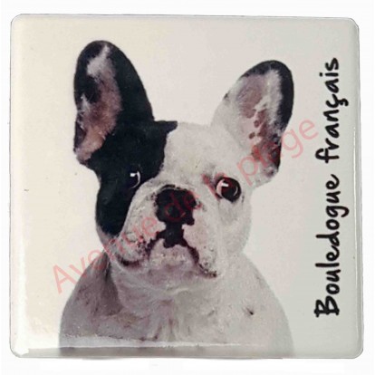 Magnet Bouledogue français blanc et noir