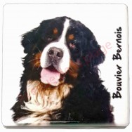 Magnet Bouvier Bernois