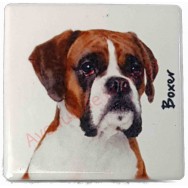 Magnet Boxer