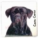 Magnet Cane Corso